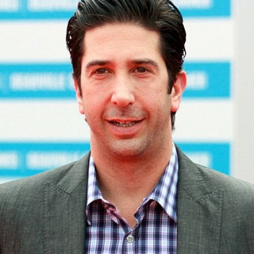 DAVID SCHWIMMER