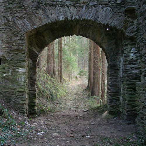 RUINE NEU-LEONROTH