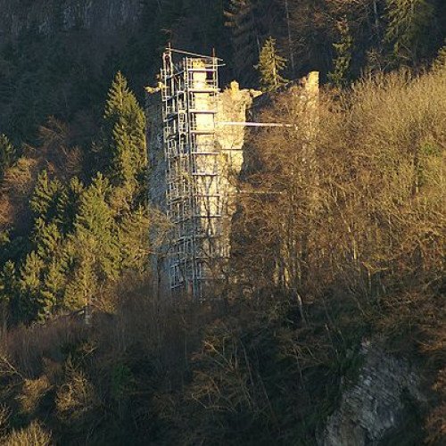 BURGRUINE NEU-MONTFORT