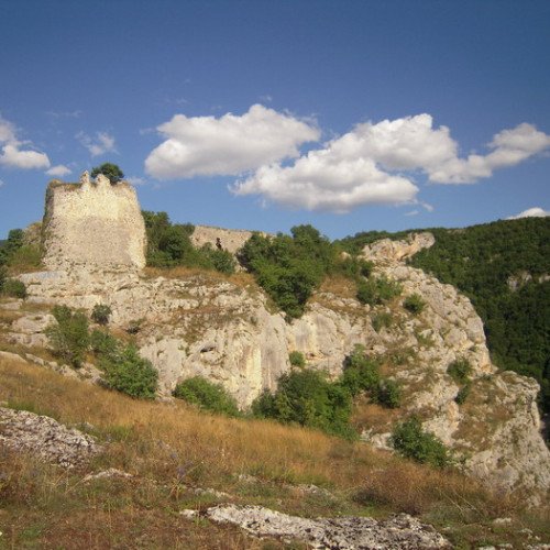 BORAČ (FORTRESS)