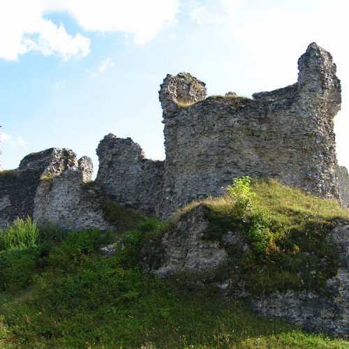 BUŽIM CASTLE