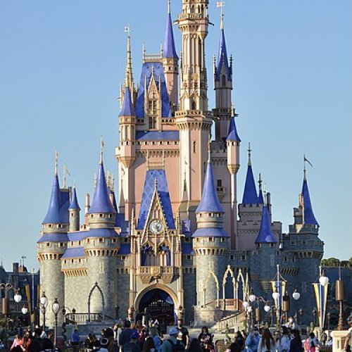 CINDERELLA CASTLE