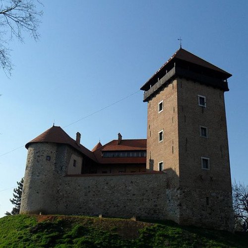 DUBOVAC CASTLE