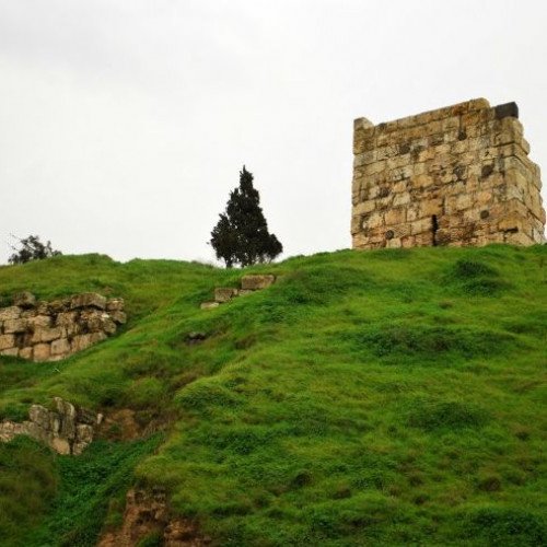 CITADEL OF HOMS