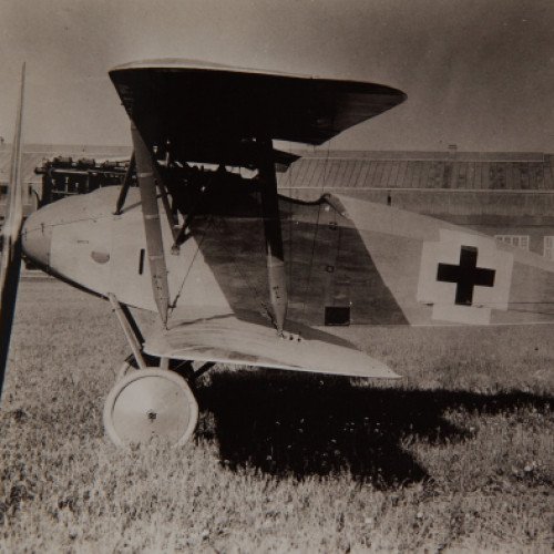 Albatros D.XII
