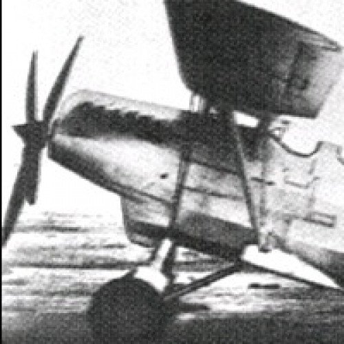 Albatros L 84