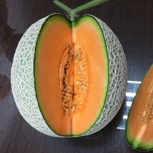 แคนตาลูป