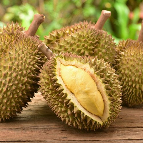 ทุเรียน