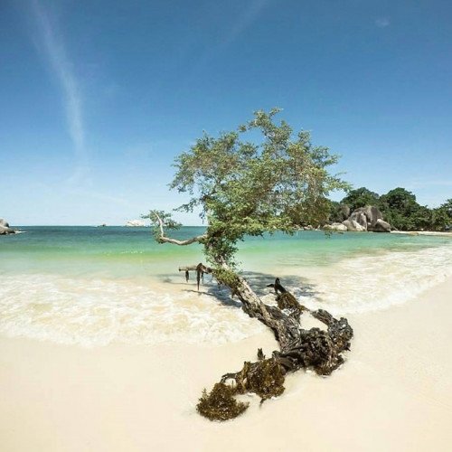 Pantai Tanjung Tinggi