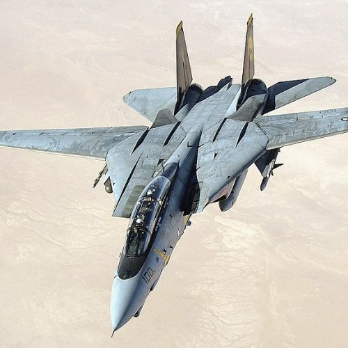 Grumman F-14 Tomcat