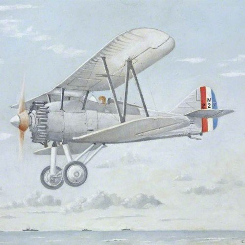 Gloster Gnatsnapper