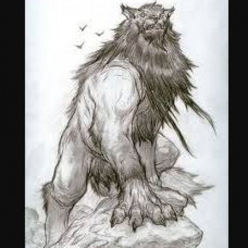 Amarok (wolf)