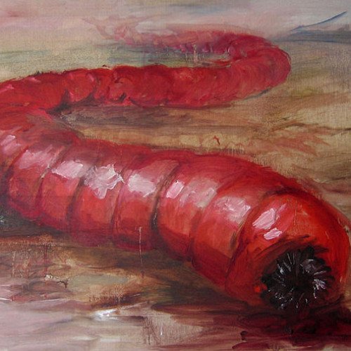 Mongolian death worm