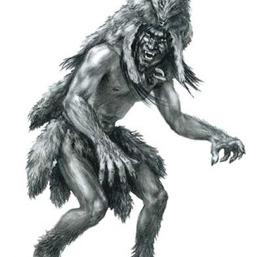 Skin-walker