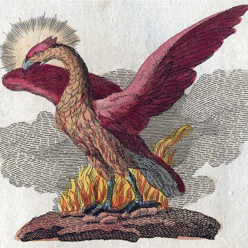 Phoenix (mythology)