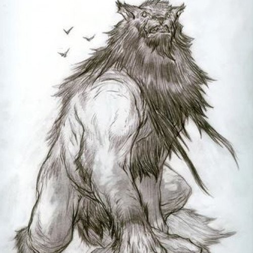 Amarok (wolf)