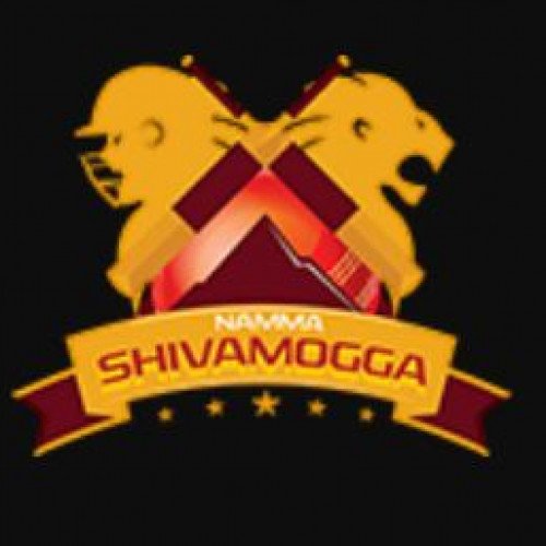 Namma Shivamogga Cricket Team