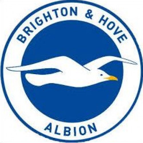 Brighton and Hove Albion FC