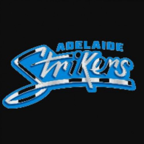 Adelaide Strikers Cricket Team