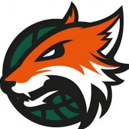 Plymouth Raiders