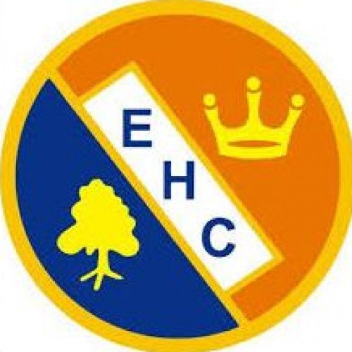 Ealing Hockey Club