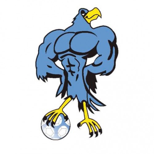 Brindabella Blues Football Club (BBFC)