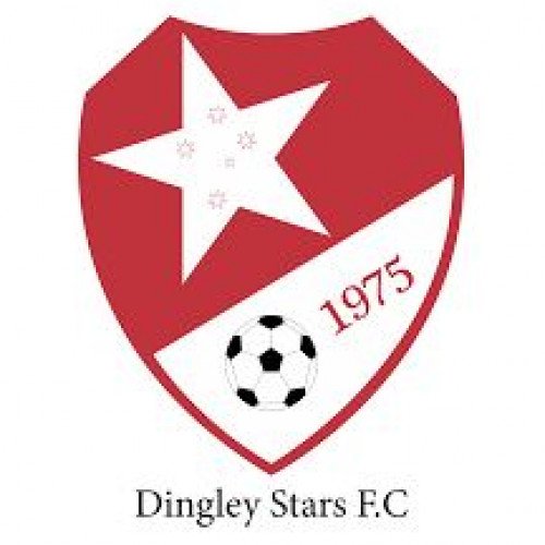 Dingley Stars FC