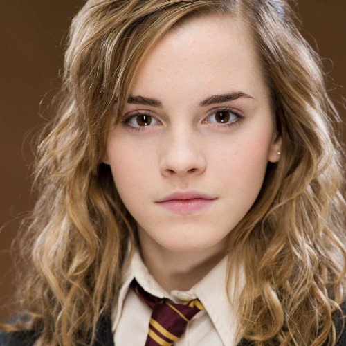 HERMIONE GRANGER, HARRY POTTER AND THE SORCERER’S STONE, J.K. ROWLING
